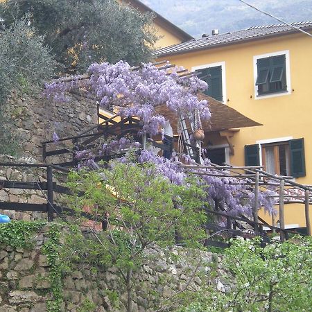 Agriturismo Il Sogno Lorsica Exteriör bild