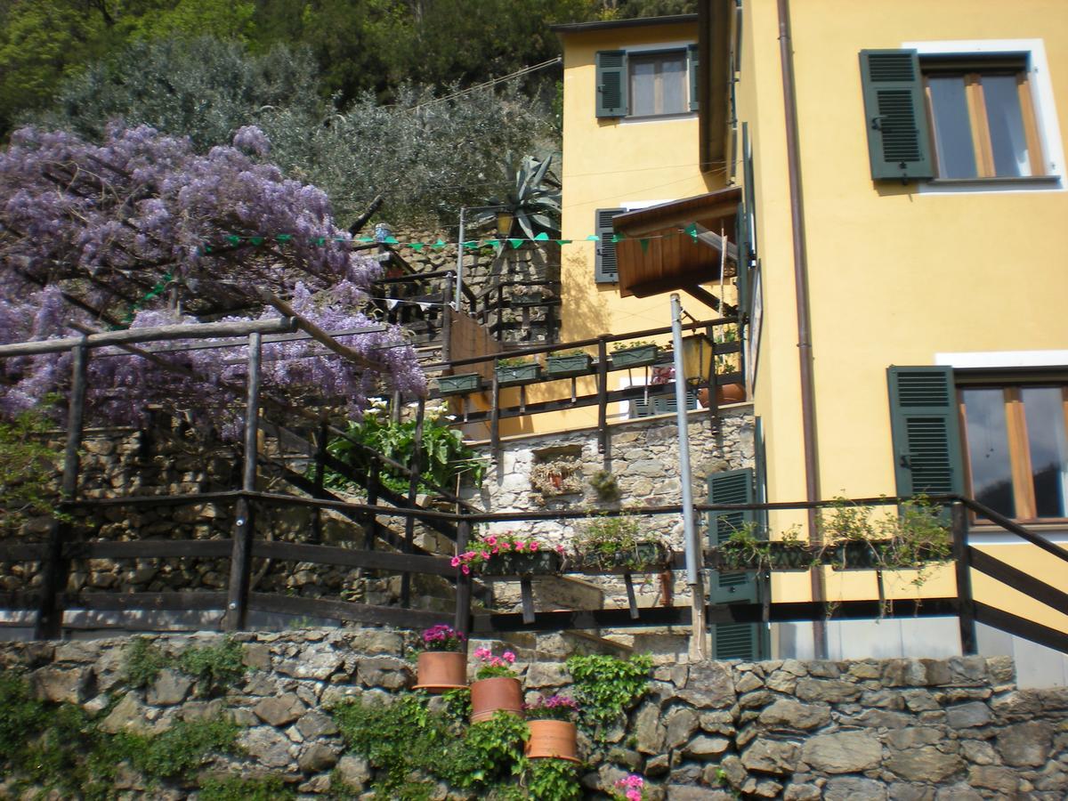 Agriturismo Il Sogno Lorsica Exteriör bild